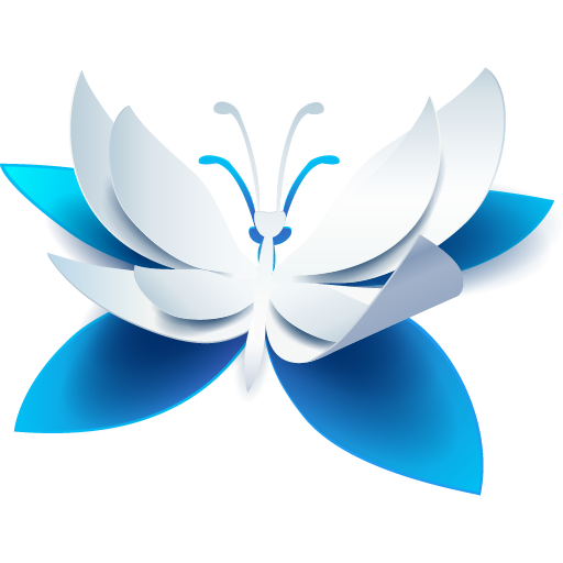 Wiki